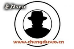 成都SEO—蔡江團(tuán)隊(duì)免費(fèi)網(wǎng)站診斷服務(wù)